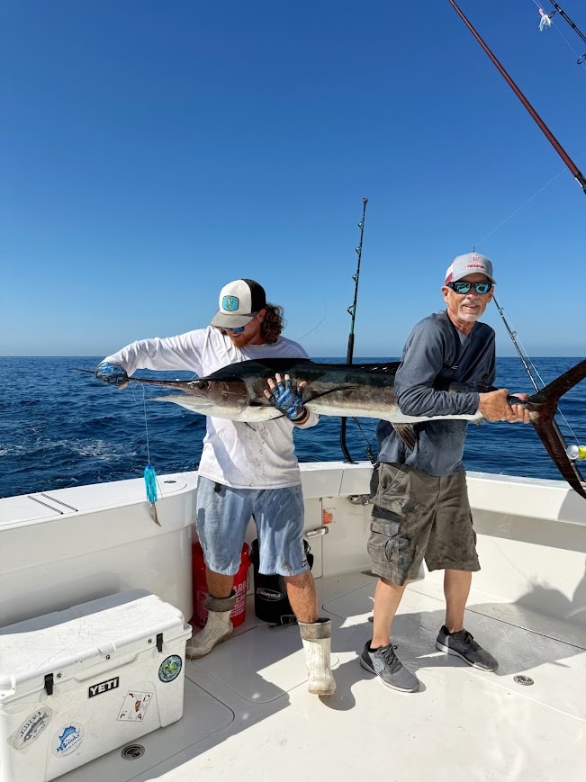 Offshore Sailfish