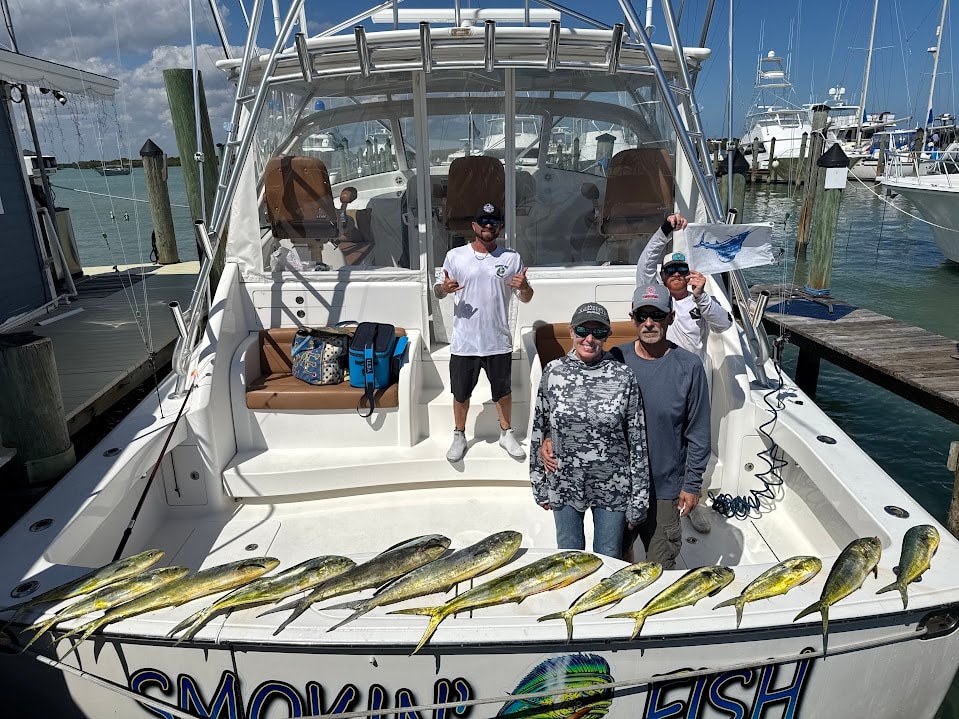 Dockside Mahi-Mahi