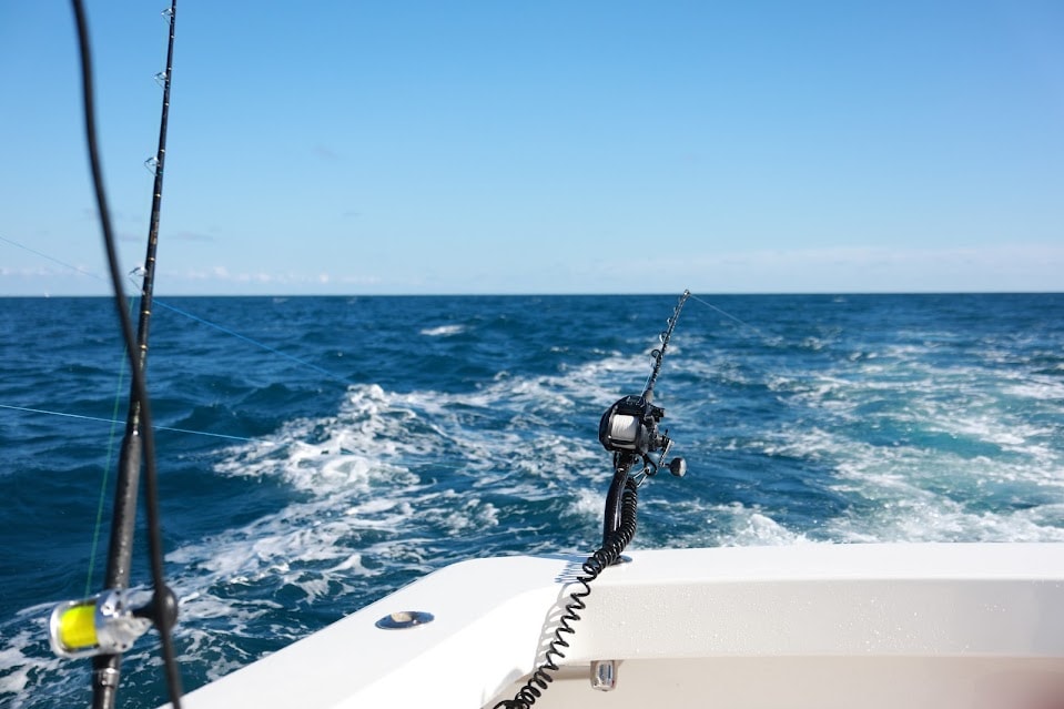 Yellowfin Tuna