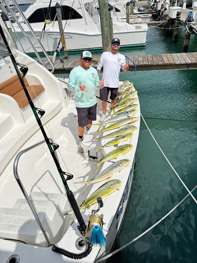 Mahi-Mahi at the Dock