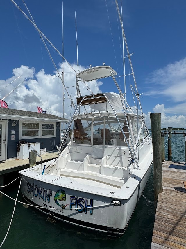 Snapper & Grouper