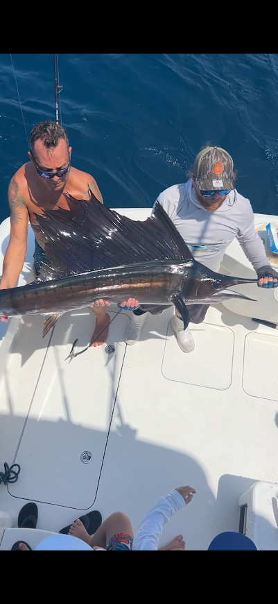 Offshore Sailfish